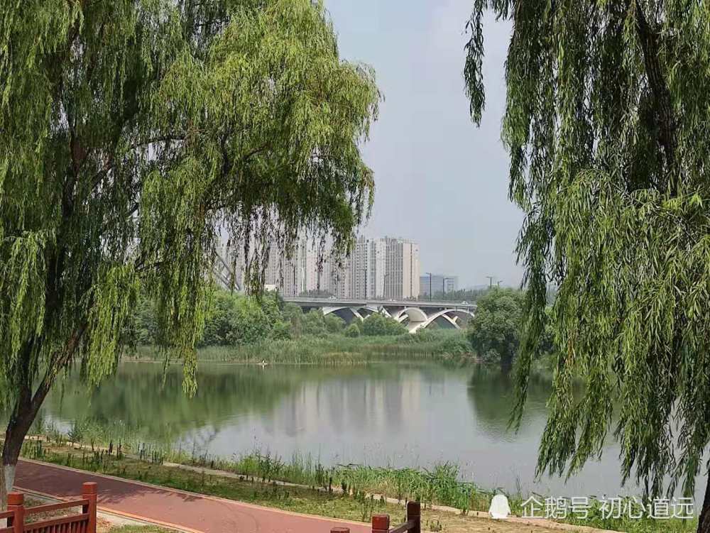 河南洛阳洛水河畔夏日美景