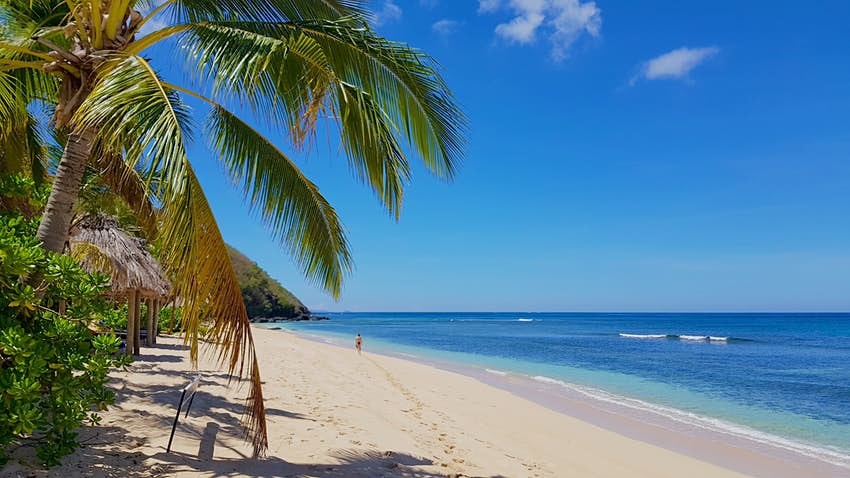 令人眼花缭乱的沙滩,完美的棕榈树和湛蓝的海水,斐济的海滩——包括