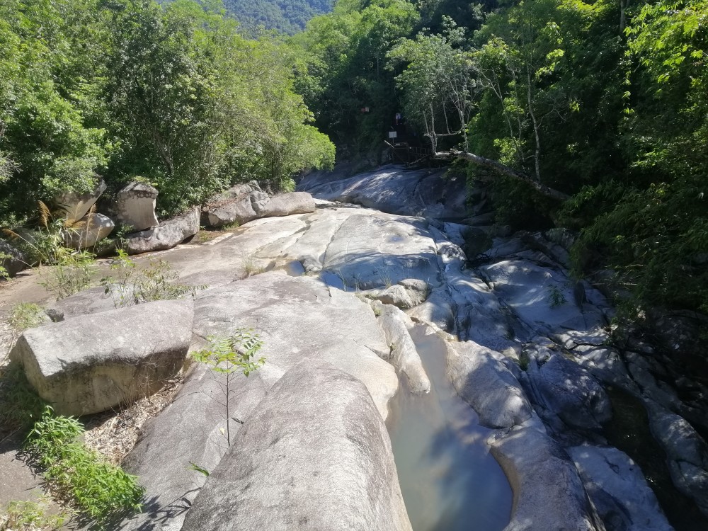 游览昌江霸王岭有感