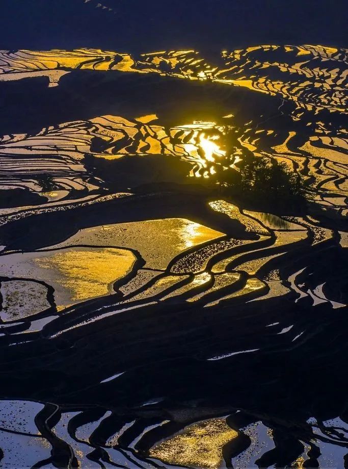 哈尼梯田景区多依树景点,清晨趁太阳未升起时,在多依树景区拍摄日出