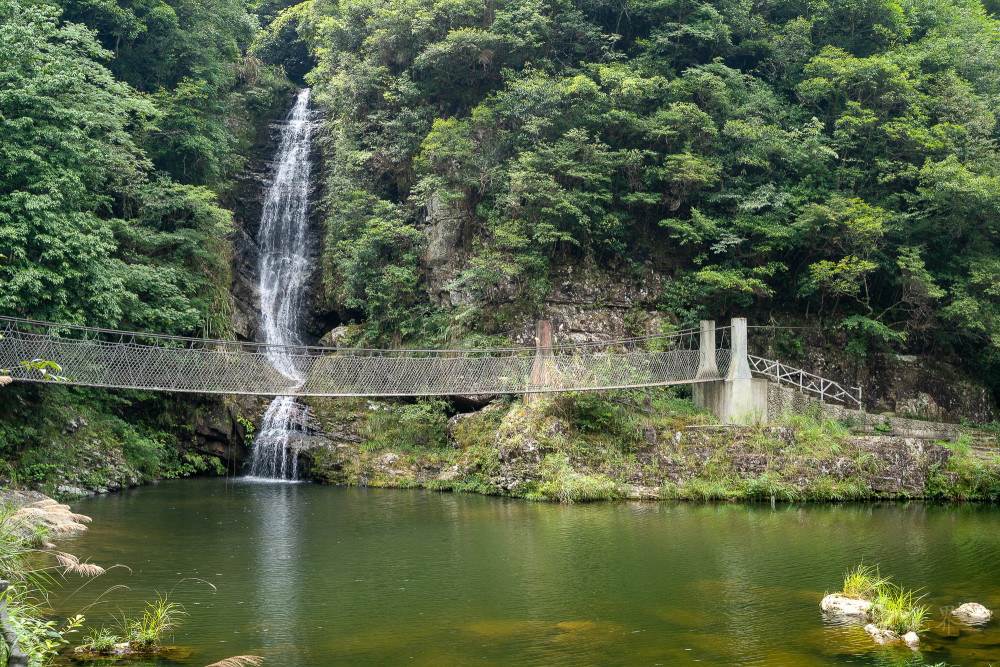 泰顺泗溪深山秘境九里潭风景优美人少还免费要去的赶快