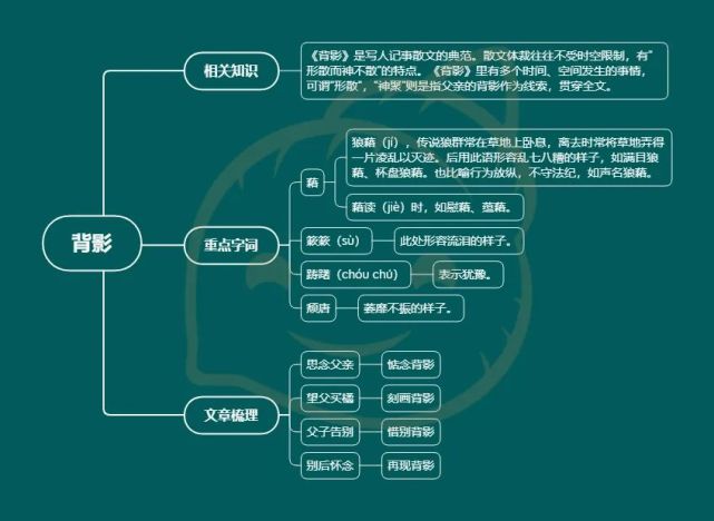 螺蛳语文部编版初中现代文思维导图 八年级上册第四,五单元 背影