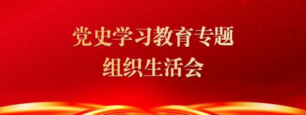 云南省森林消防总队机关党支部严密组织召开党史学习教育专题组织生活