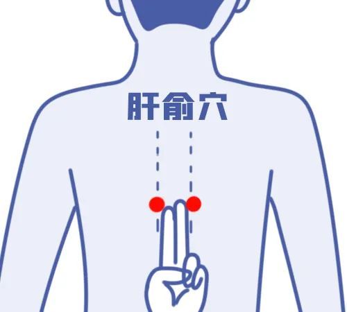 春天肝火旺盛,想要赶走心火可以多按揉行间穴.行间穴记好笔记哦~电