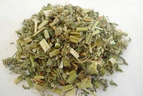 三位资深老中医亲证:益母草治疗高血压确有奇效!