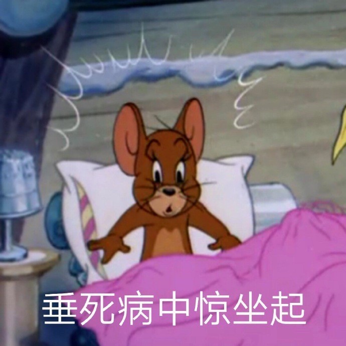 猫和老鼠表情包|"你可真是我的好儿子"