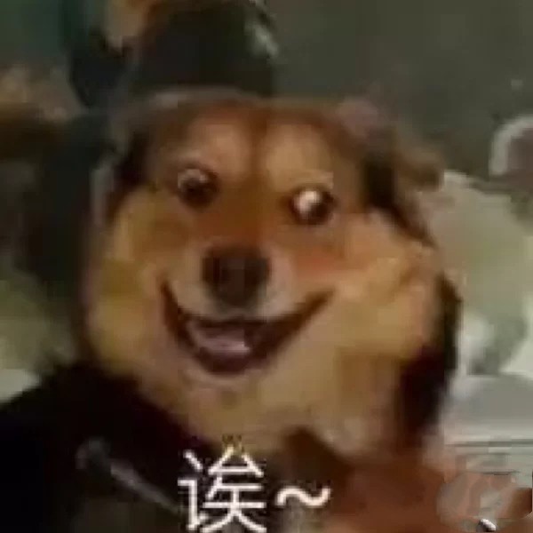 沙雕猫狗表情包:没有困难的工作,只有勇敢的狗狗
