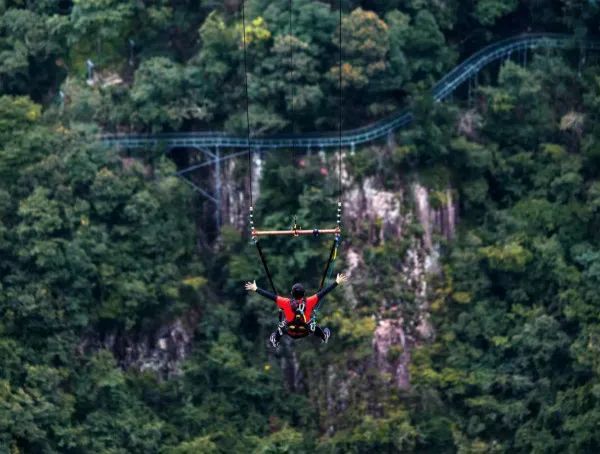 来鹤盛接种疫苗,免龙湾潭门票|龙湾潭国家森林公园邀您畅游!