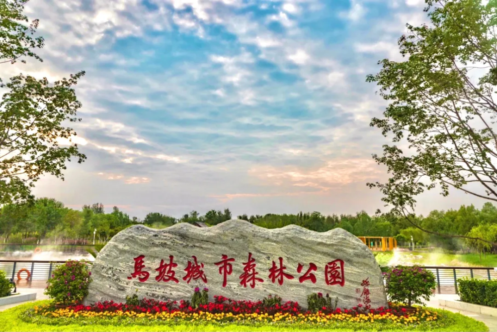 马坡城市森林公园环境优美 昨日,北青社区报记者来到马坡城市森林公园