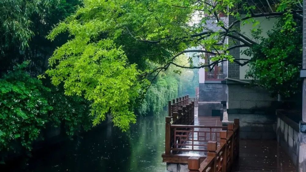 夏天的雨惊艳了时光