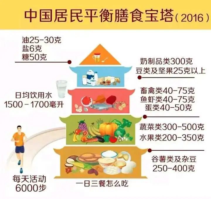 "这个以五为数的平衡体系,其实和我们现代营养学的膳食宝塔很像,大家