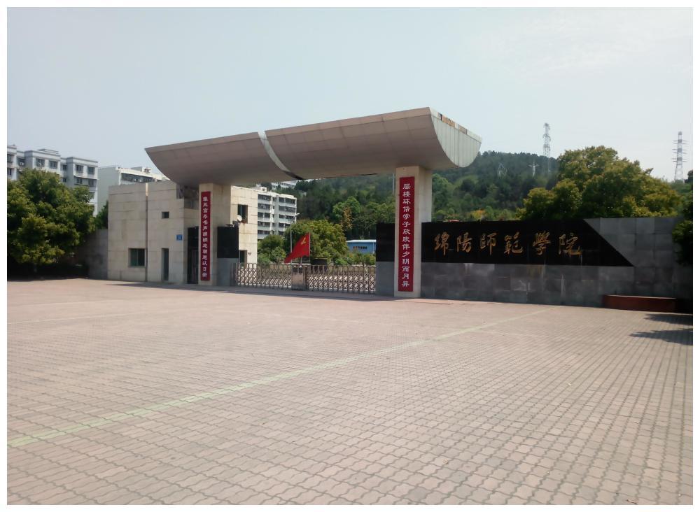 绵阳师范学院 1994年,一次偶然的出国考察机会,彻底改变了张钧的人生