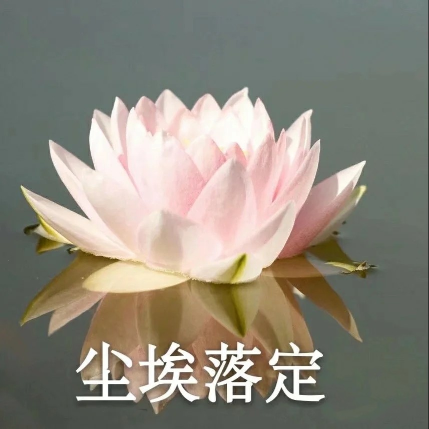 佛系闺蜜女生,男生头像