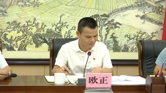 天等县委副书记,代县长欧正要求,各相关部门要认真领会学习,担当起