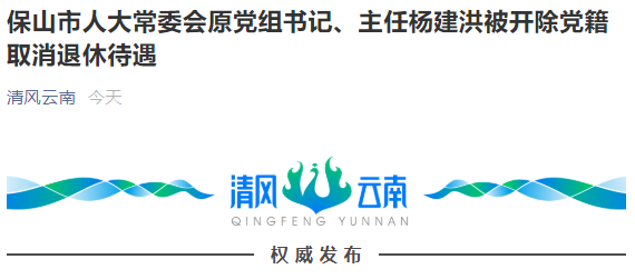 保山市人大常委会原党组书记主任杨建洪被开除党籍取消退休待遇