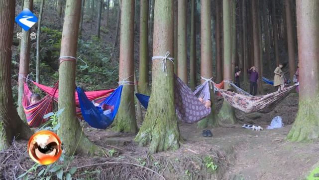 多云有分散雷阵雨 26到35℃ 周末去铁峰山国家森林公园 休闲纳凉的