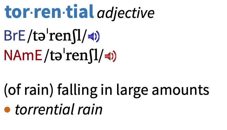 暴雨的英文表达是 torrential rain