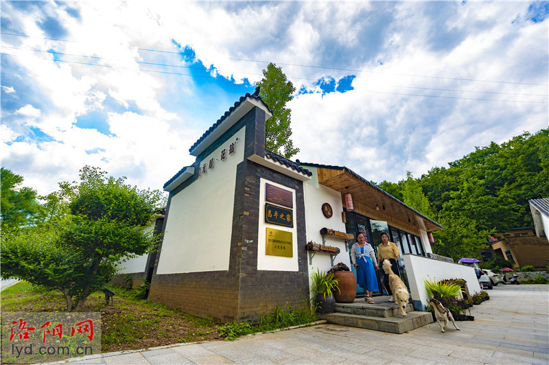 栾川县陶湾镇伊源康养谷:发展全域旅游 乡村"美丽蝶变"