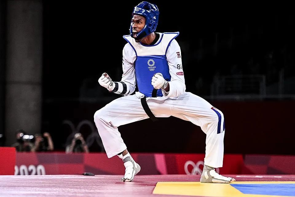 跆拳道排名_跆拳道卡通图片