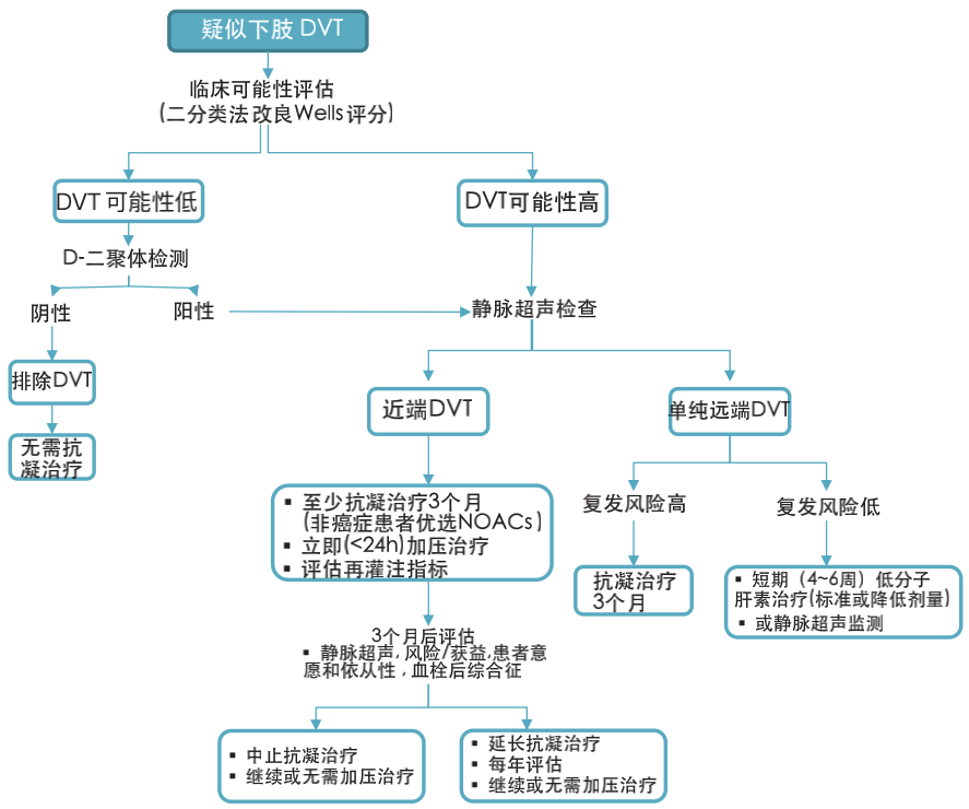 最新esc 共识:急性深静脉血栓形成的诊断和治疗