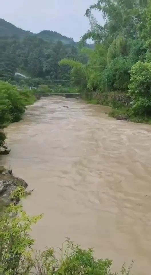 危险!揭西平静的小山沟,突然洪水滚滚