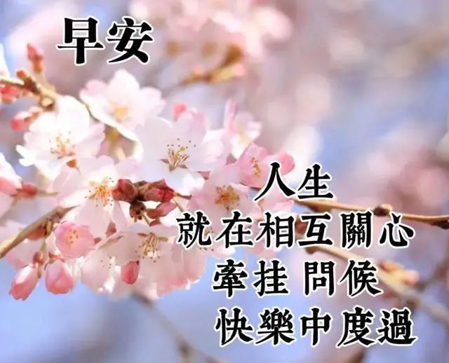 2021年7月29日夏季早安问候及关心的话语,早安祝福问候语图片