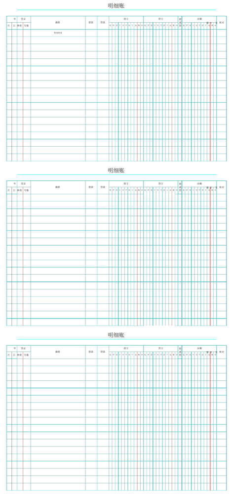 明细账页电子版