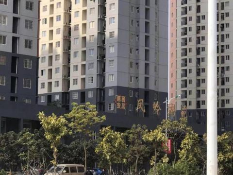 凤岭南苑一角.