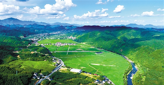 高后线美景潜东村兴起共享稻田模式近日,杭州临安区於潜镇绍鲁村的皮