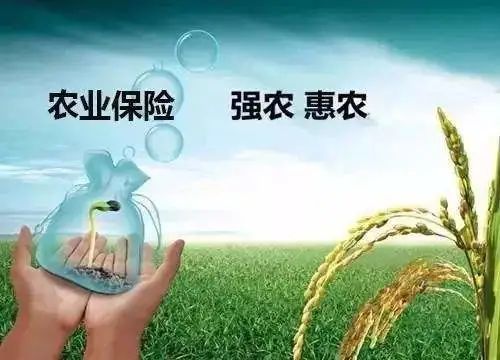 天灾来临,农业保险如何发挥作用?