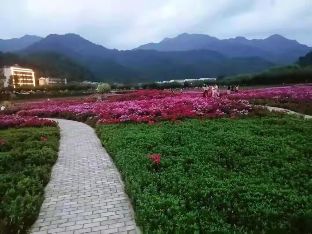 银川自家留坝县,汉中,体验22度的夏季.