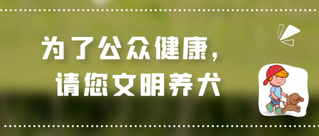 天津文明养犬主题宣传口号