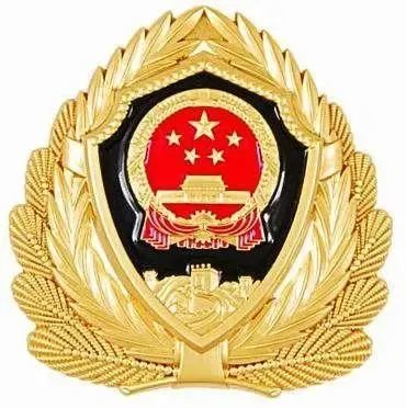 与人民警察警徽图案相同 由国徽,盾牌,长城,松枝组成 这是一代武警