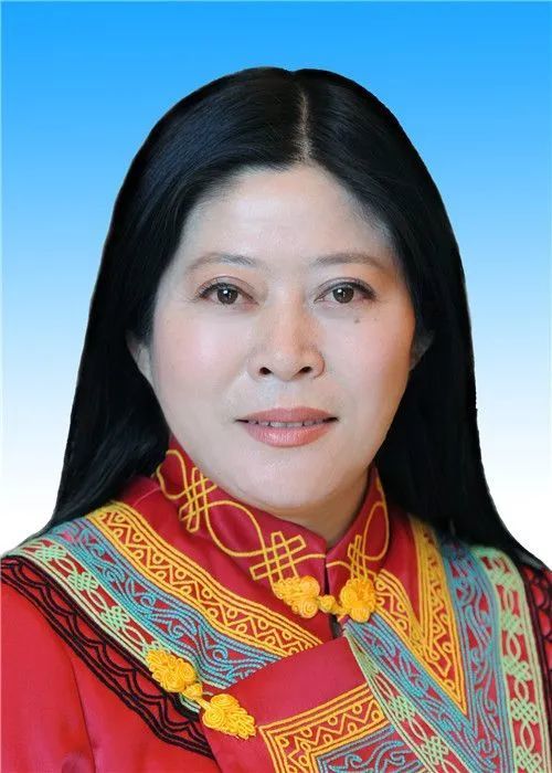 凉山州现任州政府领导和分工