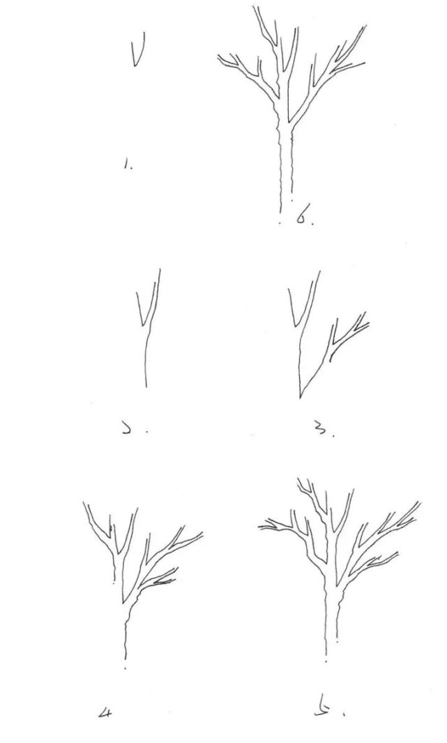 【手绘资源】景观植物画法详解!看完你也会画!