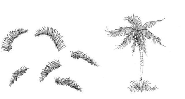 【手绘资源】景观植物画法详解!看完你也会画!
