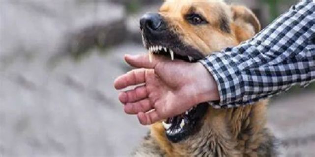 狂犬病真的能潜伏23年吗?