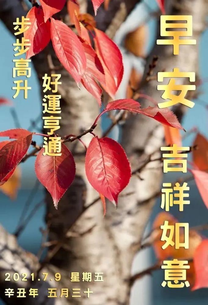 非常漂亮早安问候语图片唯美带字,微信早上好正能量语录暖心
