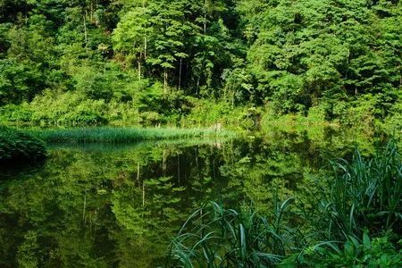 古蔺县黄荆老林旅游景区