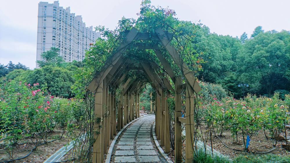 〖淮安旅游景点推荐淮安旅游景点推荐网红地〗