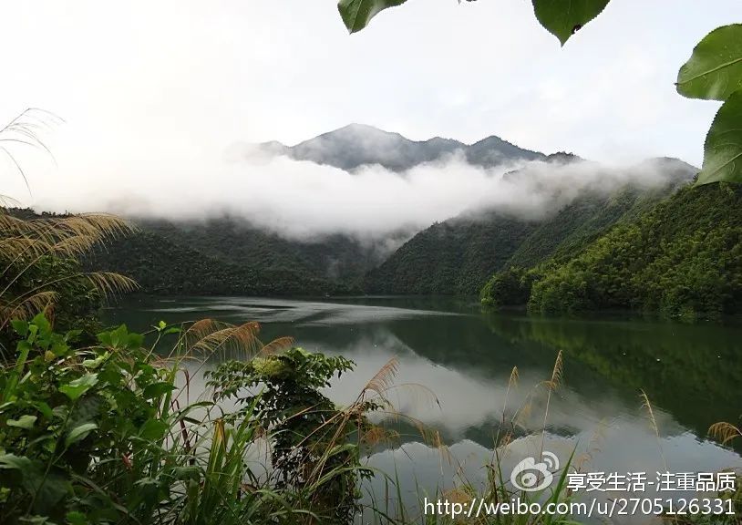 莲花景区在钱江源发源地莲花尖下,由莲花塘和莲花溪两大部分组成,总