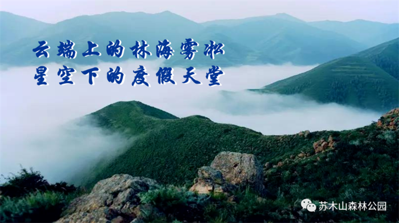 天然氧吧,避暑胜地的核心体验区 兴和县苏木山森林公园,位于兴和县