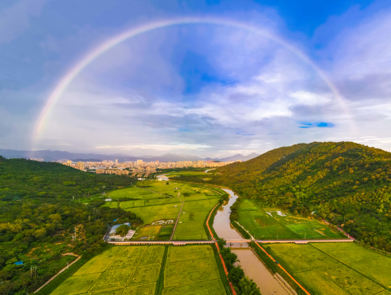 雨后彩虹横跨于从化艾米稻香小镇的稻田上,一派田园美景.