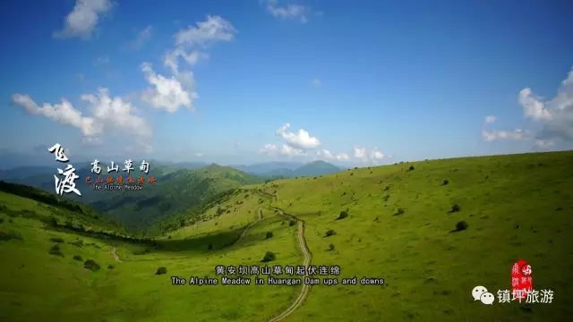 玩转飞渡峡,黄安坝高山草甸美景!