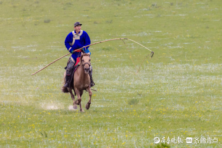 威武的套马汉子