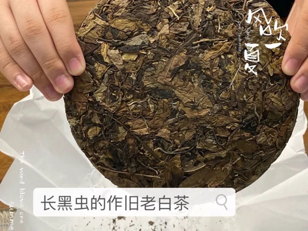 颜色黝黑算什么在做旧老白茶里看到了一只虫子把我吓到了