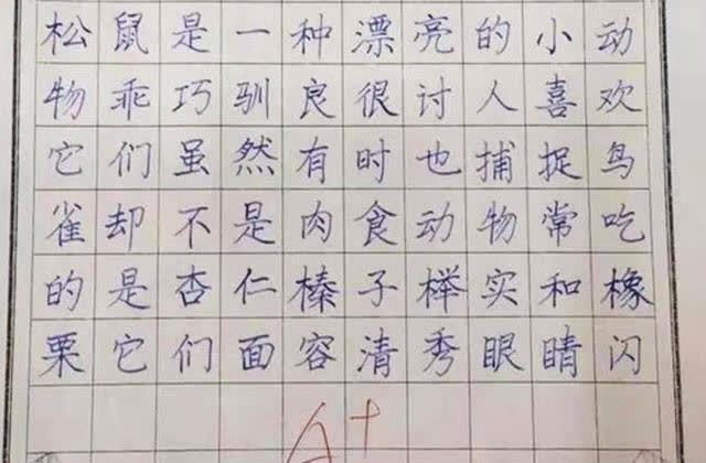 小学生写的作业漂亮工整字迹如印刷体老师字就该这样写