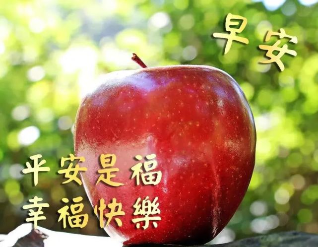 早上好问候祝福语短信,最新早安问候语动态图片表情