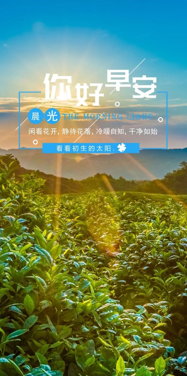 2021朋友圈微商早安心语励志语录 鼓舞人心的早安正能量图片带字