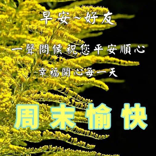 周末早安问候语 周末快乐祝福语大全